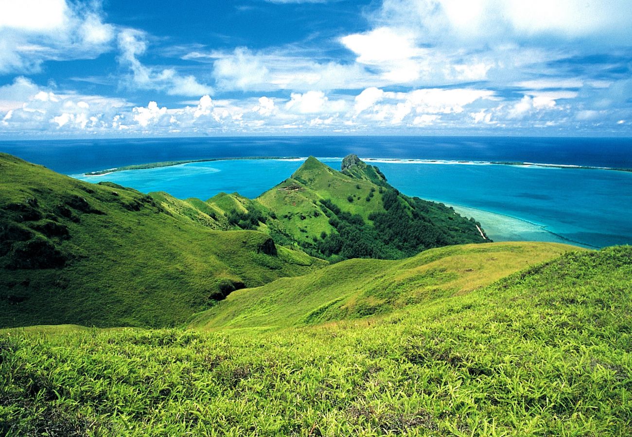 Bungalow à Vaiuru - RAIVAVAE - Bungalow Deep Natura 2 