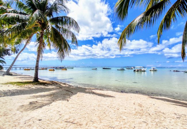 Plage des Tipaniers en accès direct depuis le Tropical Soul Entrée à la plage de la résidence