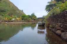 Bungalow à Tiahura - MOOREA - Bungalow Moekea Lagoon