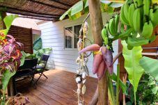 Studio à Hauru - MOOREA - Studio Natura Cosy 