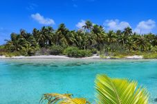 Bungalow à Tikehau - TIKEHAU - Fare Motu Ocean View 1 