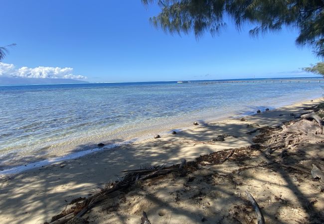 Bungalow à Maatea - MOOREA - Naku Kahi Bungalow 4 BeachView
