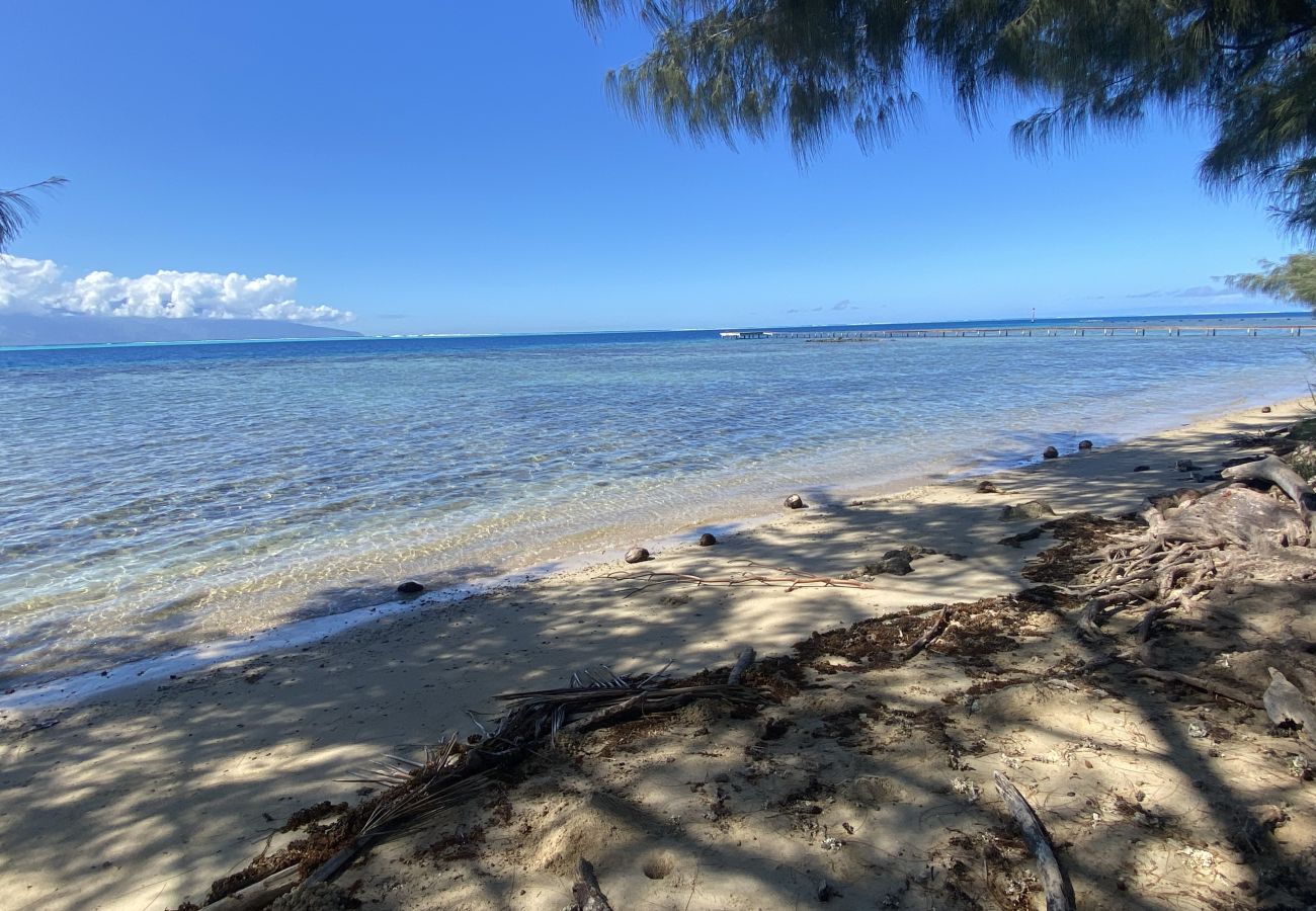 Bungalow à Maatea - MOOREA - Naku Kahi Bungalow 4 BeachView