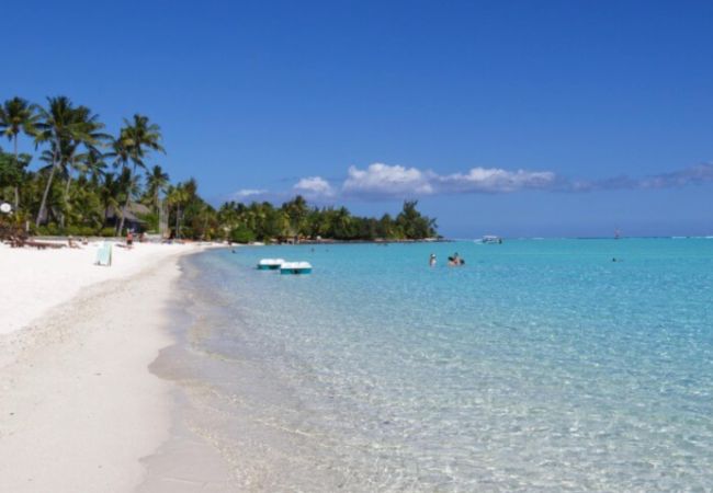 Studio à Nunue - BORA-BORA - Horizon Lodge hoe 