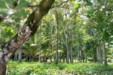 Villa in Poutoru - TAHAA - Private Beach & Snorkeling Villa