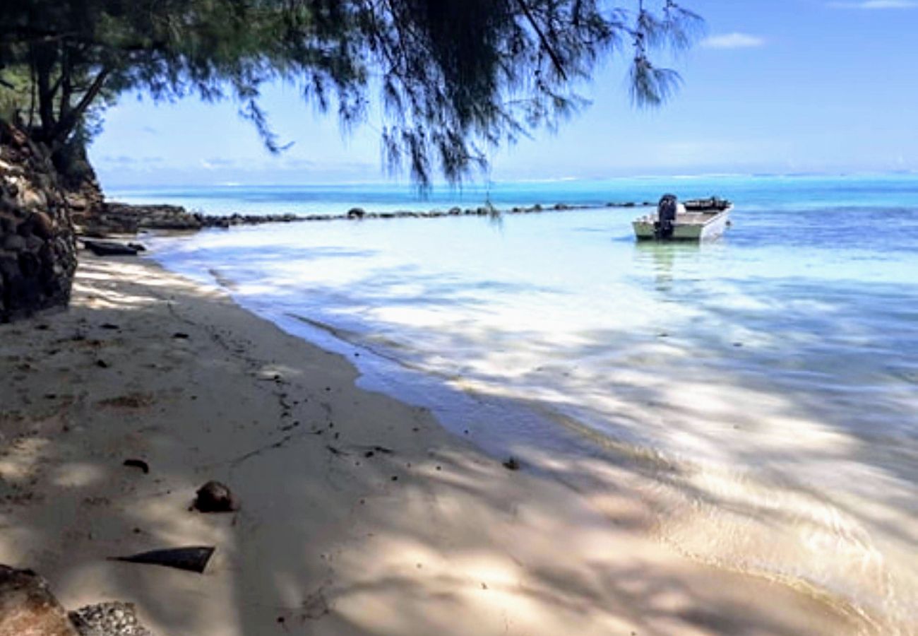 The white sand beach The beach
