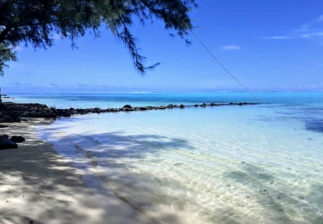 Bungalow in Tiahura - MOOREA - Local Spirit 6 Bungalow in Tiahura - MOOREA - Local Spirit 6