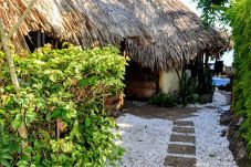 Bungalow in Paea - TAHITI - Love Nest