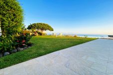 The garden