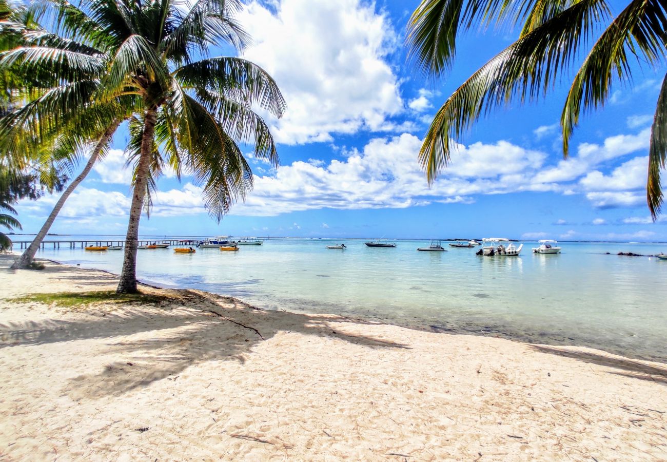 Tipaniers Beach with direct access from the Tropical Soul Entrance to the residence beach