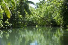 Studio in Raiatea - RAIATEA - Studio Tenape
