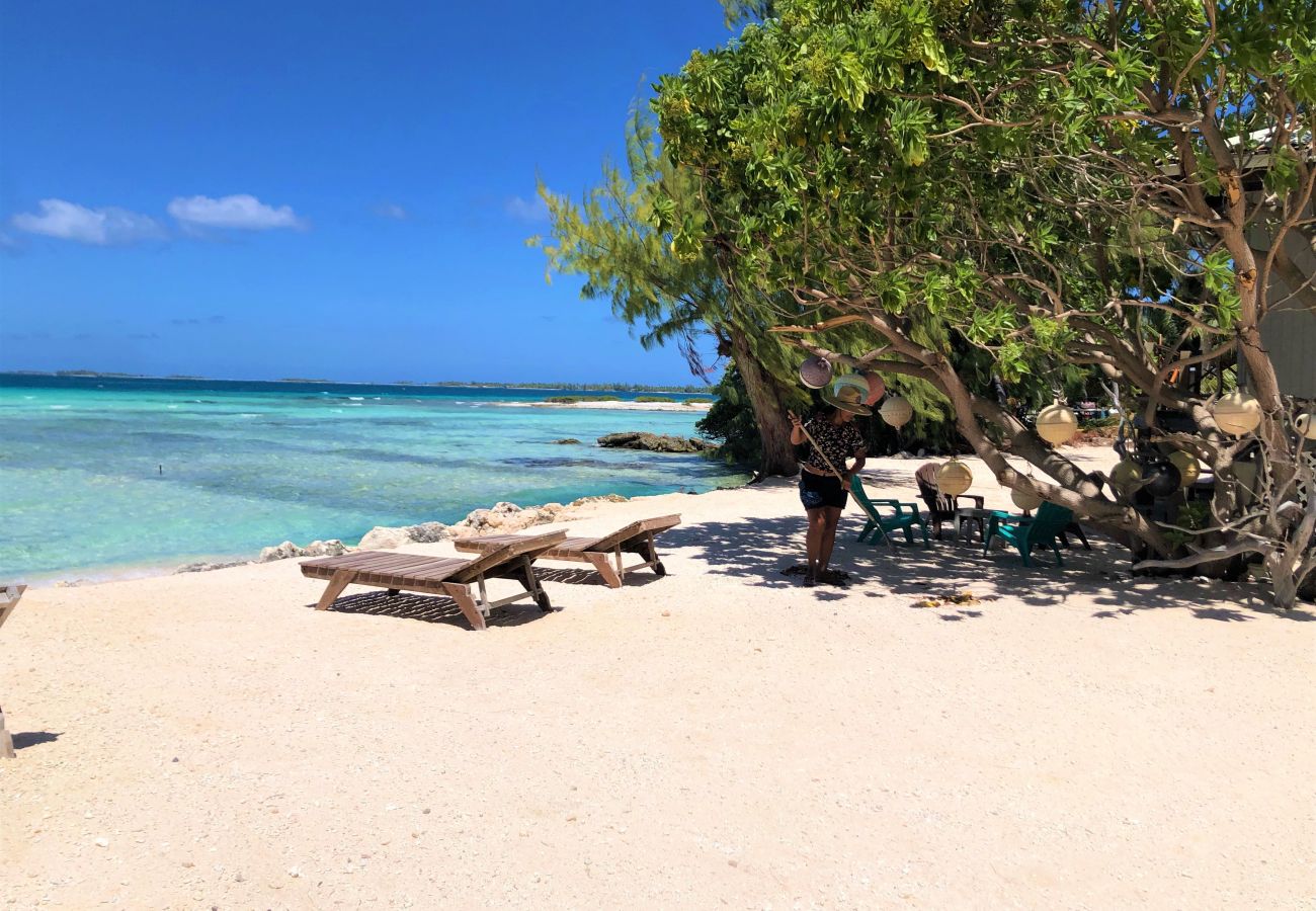 Rent by room in Tuherahera - TIKEHAU - Hina Green Room 