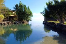 Bungalow in Tiahura - MOOREA - Bungalow Moekea Lagoon