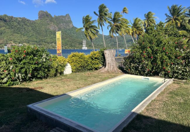 Rent by room in Pihaena - MOOREA - Remu Ura Room