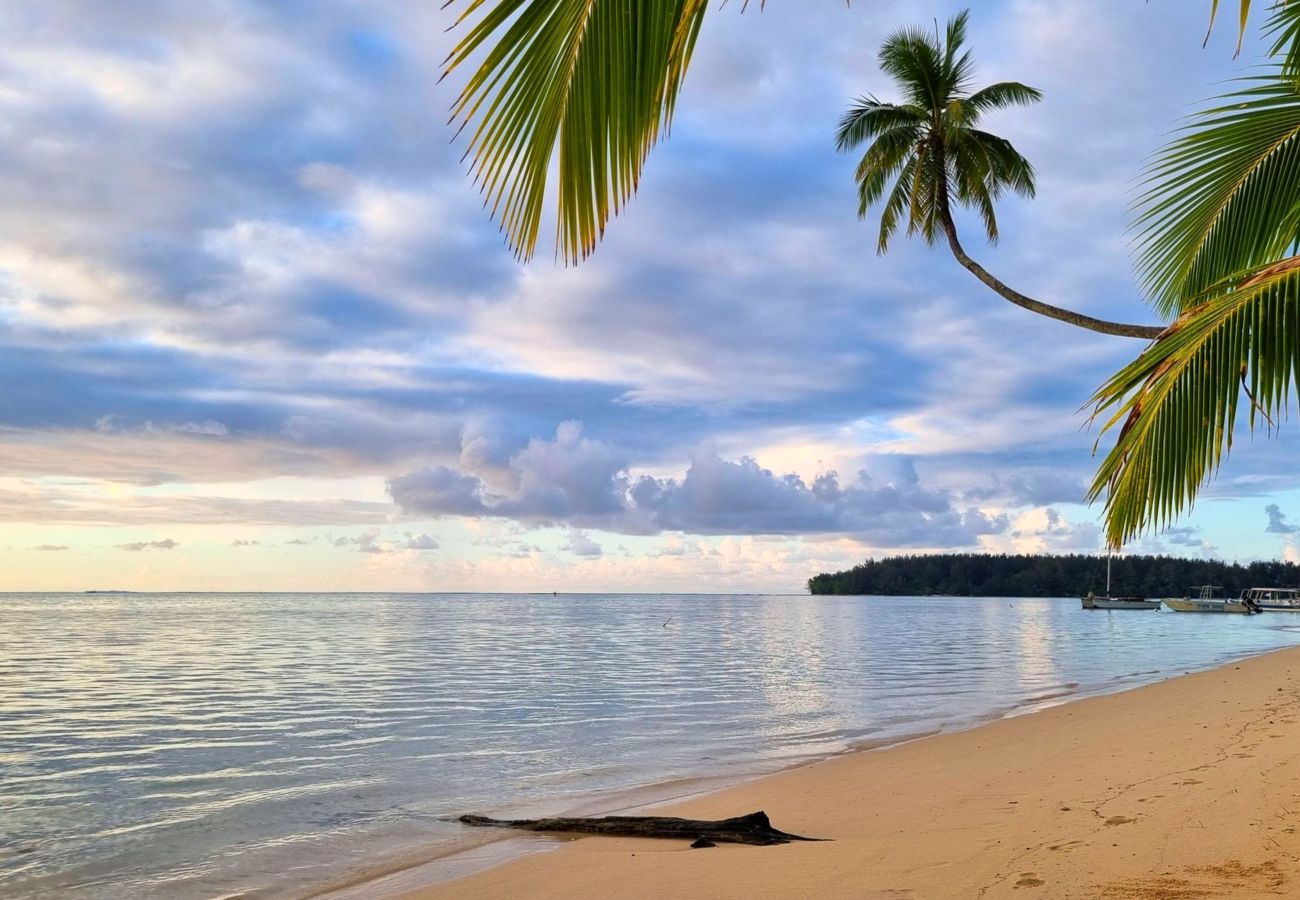 Studio in Hauru - MOOREA - Studio Natura Cosy 