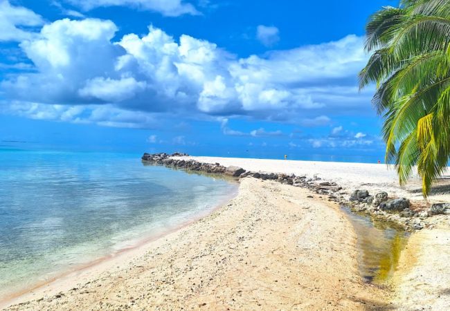 Rent by room in Tikehau - TIKEHAU - Bungalow Pacific Beach Family 