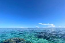 Bungalow in Papara -  TAHITI - Bungalow Mana 