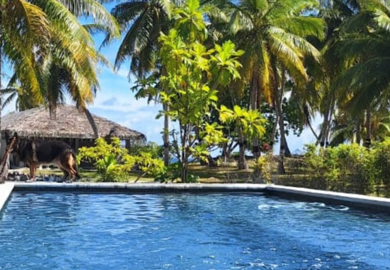 House in Manihi - MANIHI - Manihi Pool Lodge