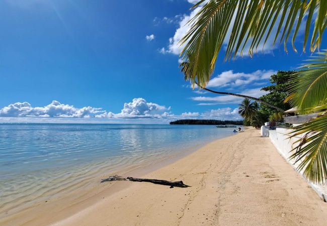 Studio in Hauru - MOOREA - STUDIO CORAIL MOANA