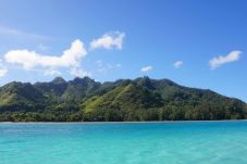 Bungalow in Haapiti - MOOREA - Bungalow Anua Ute Ute 