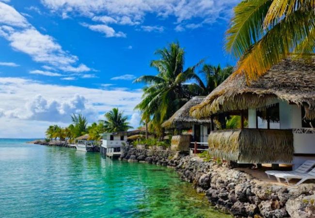 Bungalow in Tikehau - TIKEHAU - Bungalow Motu Hoa Lagoon 1 