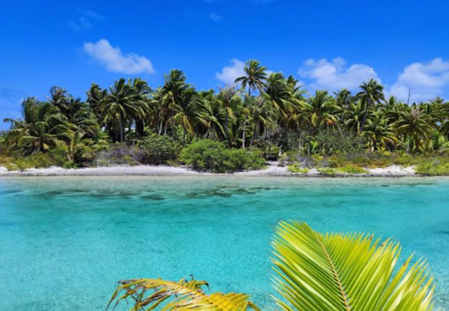 Bungalow in Tikehau - TIKEHAU - Bungalow Motu Beach 1 