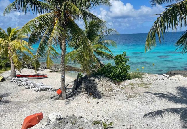 Studio in Fakarava  - FAKARAVA - ANA LAGOON LODGE HO E