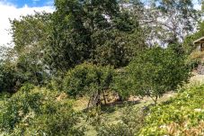 House in Pirae - TAHITI - Villa Aorai Hills & Pool