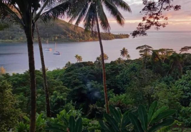 Rent by room in Opoa - RAIATEA-Chambre d'hôtes Oviri 2 - Kahaia