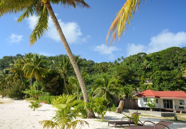 House in Matira - BORA BORA - Tahatai house 