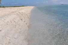 Studio in Rotoava - FAKARAVA - Fare Tuaniu Reka